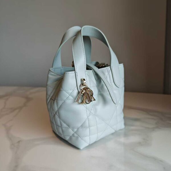 Dior Toujours Vertical Tote Bag