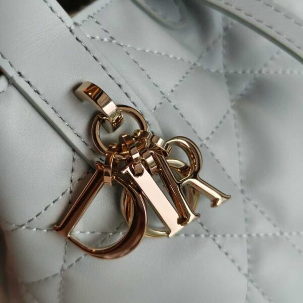 Dior Toujours Vertical Tote Bag