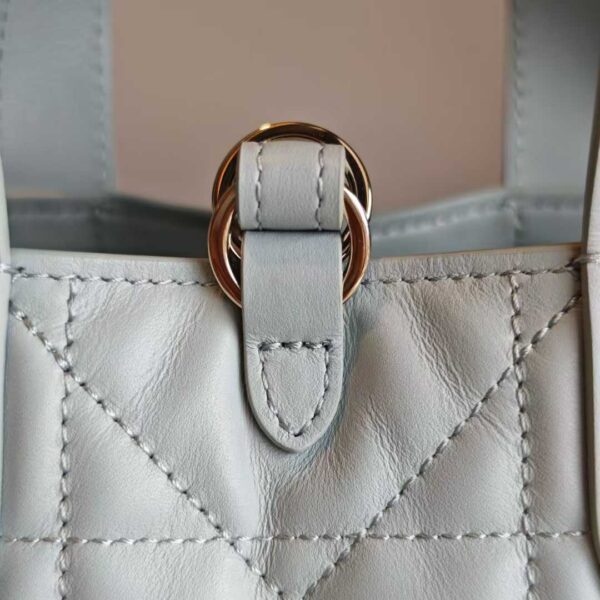 Dior Toujours Vertical Tote Bag