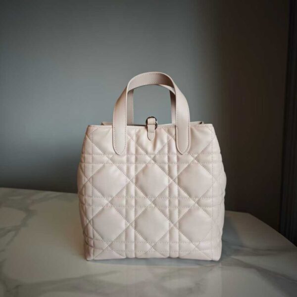 Dior Toujours Vertical Tote Bag