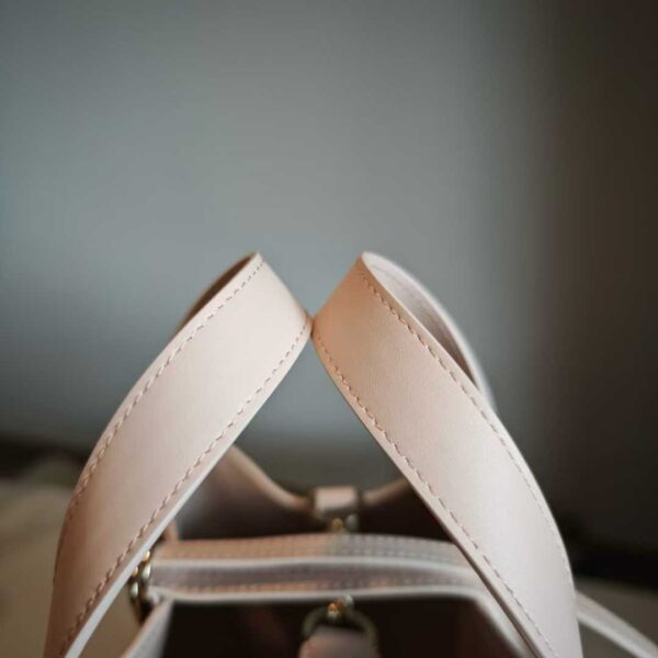 Dior Toujours Vertical Tote Bag