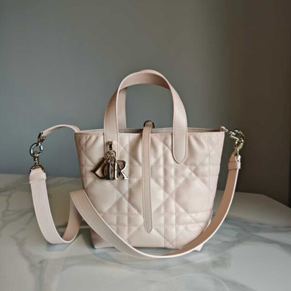 Dior Toujours Vertical Tote Bag