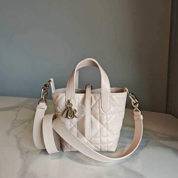 Dior Toujours Vertical Tote Bag