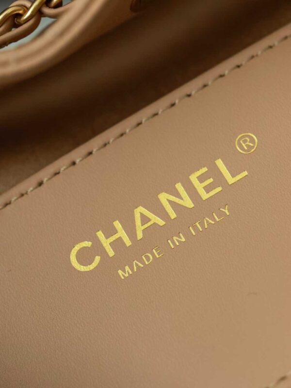 CHANEL 25 MINI HANDBAG