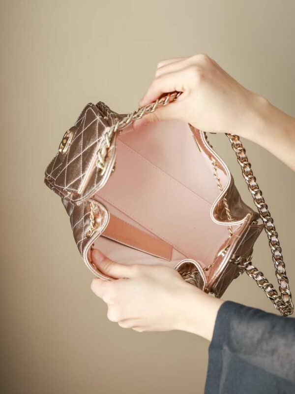 CHANEL 25 MINI HANDBAG