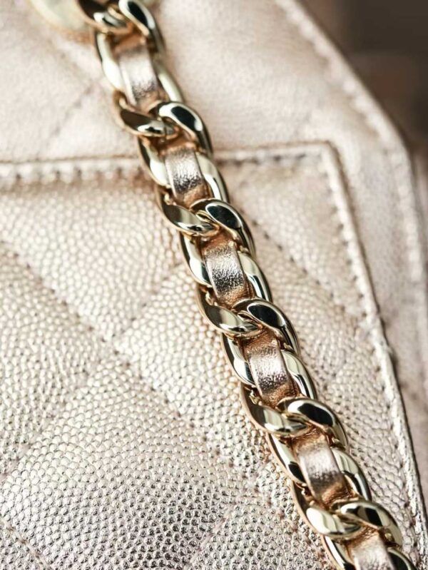 CHANEL 25 MINI HANDBAG