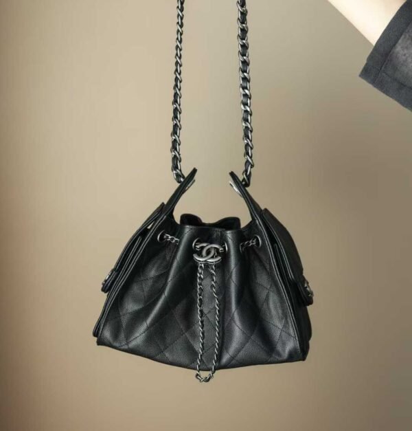CHANEL 25 MINI HANDBAG
