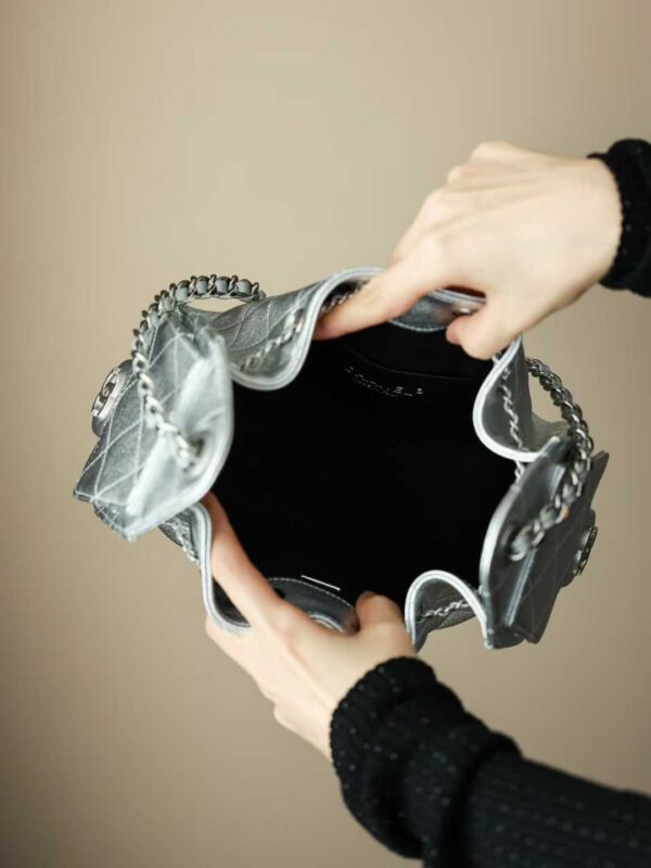 CHANEL 25 Mini Handbag