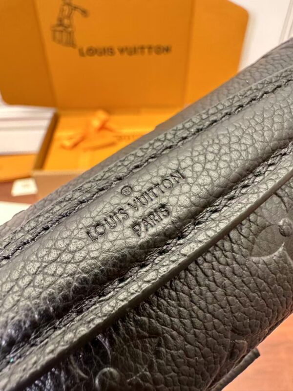 LOUIS VUITTON M46595 Pochette Métis East West