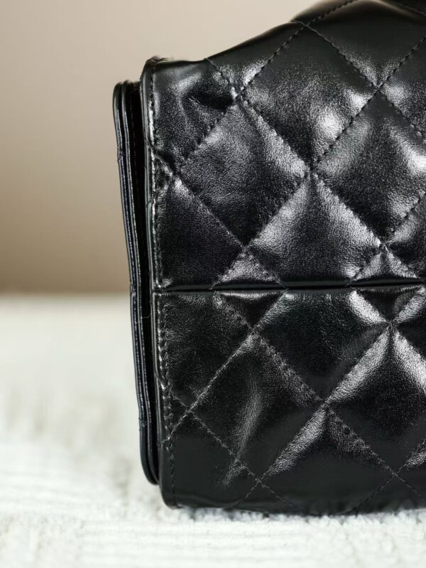 CHANEL 25 Small Handbag
