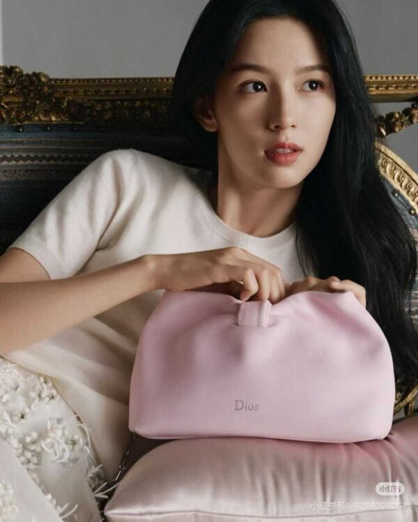 DIOR Small Dior Bow Bag