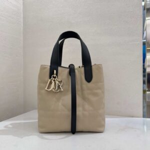Small Dior Toujours Vertical Tote Bag