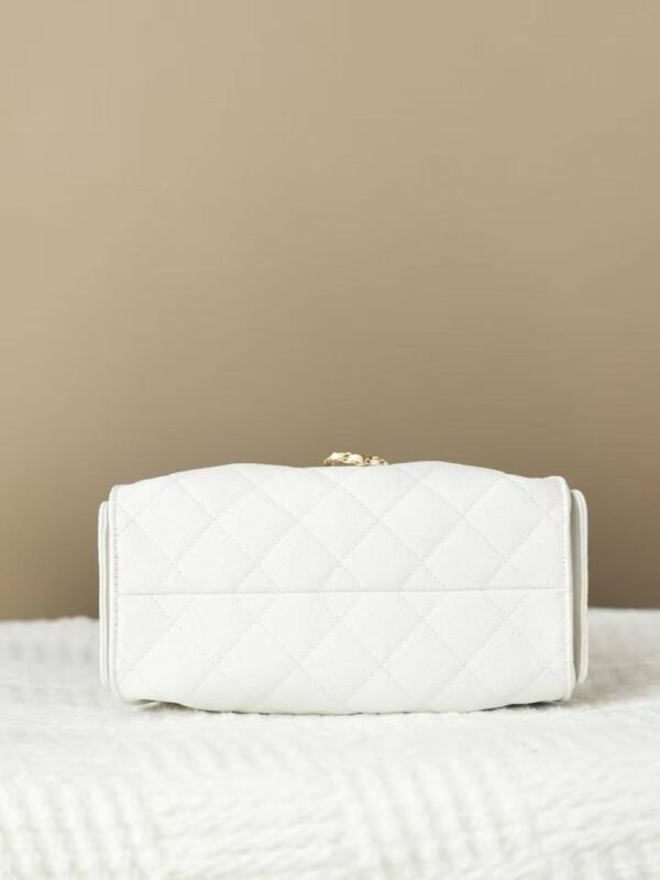 CHANEL 25 Mini Handbag