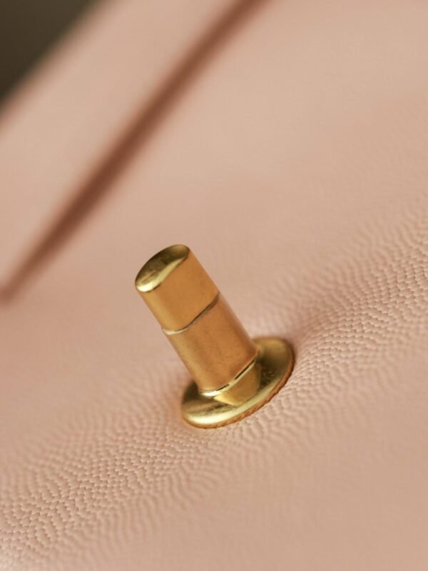 CHANEL  Flap Bag