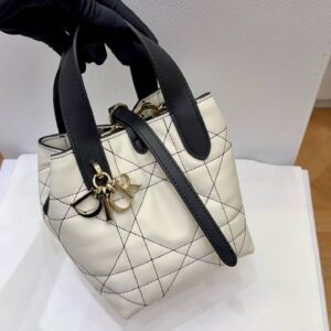 Dior Toujours Vertical Tote Bag