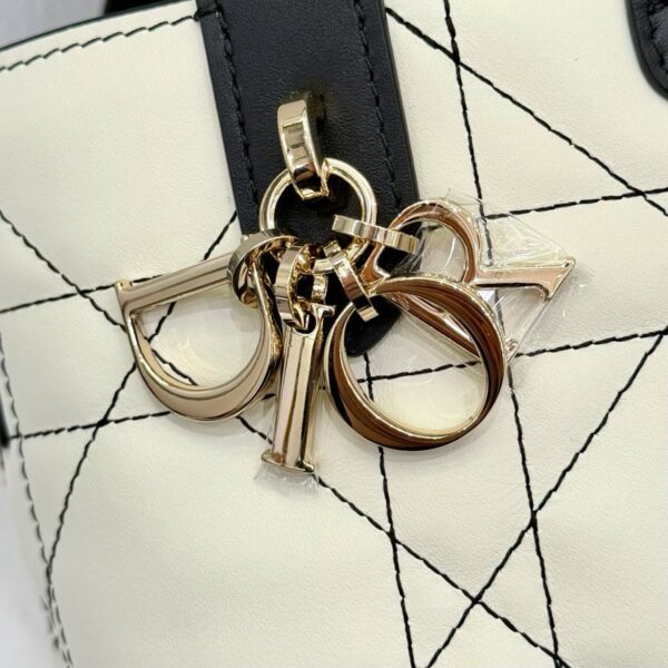 Dior Toujours Vertical Tote Bag