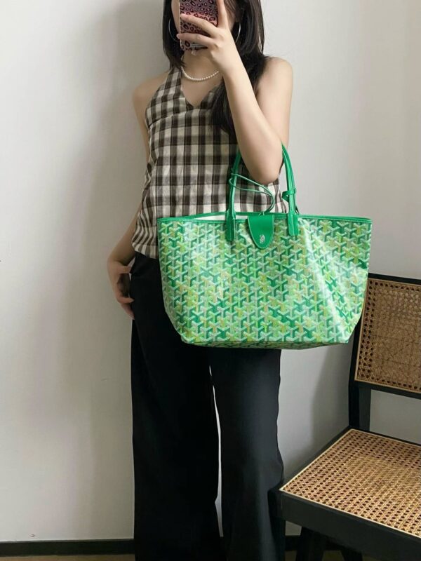 GOYARD Saint Louis PM bag multicolored