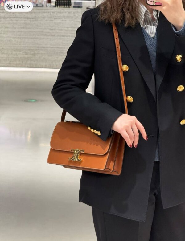 CELINE MEDIUM TRIOMPHE FOLIO IN Natural calfskin