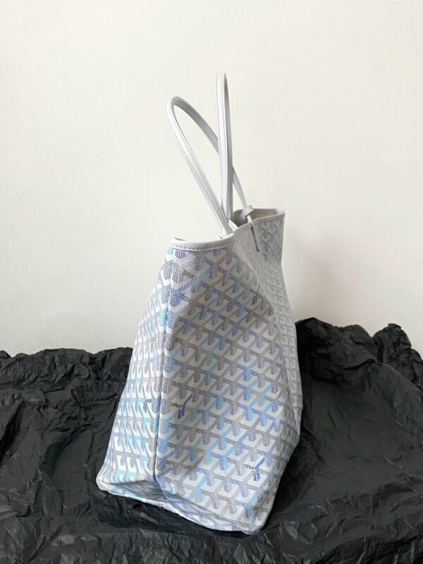 GOYARD Saint Louis Bag