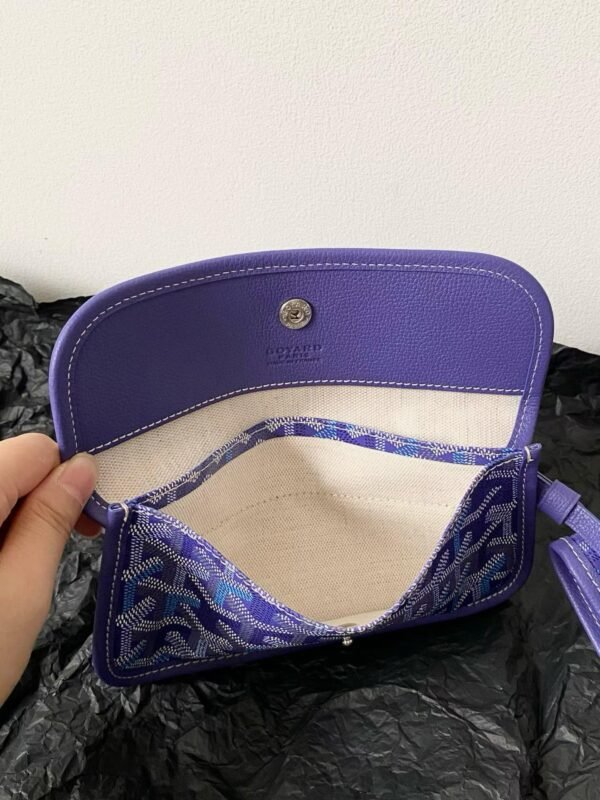 GOYARD Saint Louis Bag