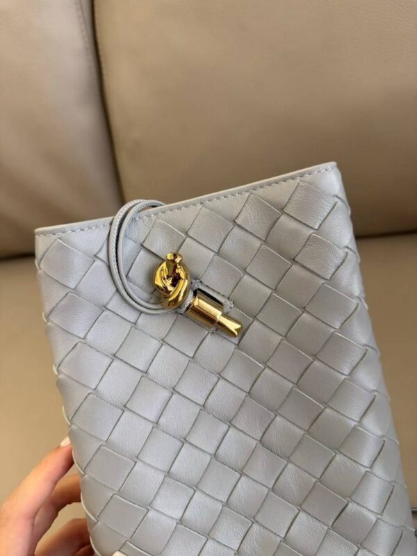 Bottega Veneta Andiamo Phone Pouch