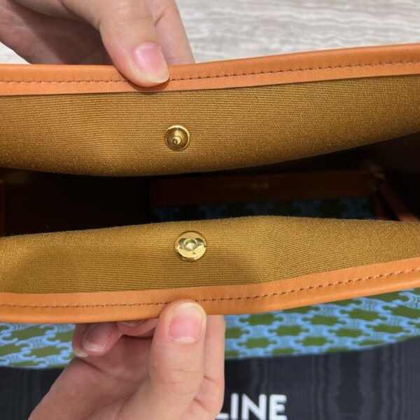 CELINE SOFT SHOPPER BAG IN TRIOMPHE CANVAS AND CALFSKIN