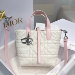 Small Dior Toujours Vertical Tote Bag