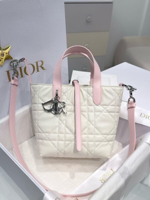 Small Dior Toujours Vertical Tote Bag