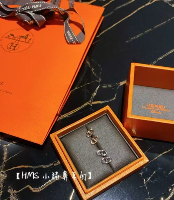 HERMES Earrings