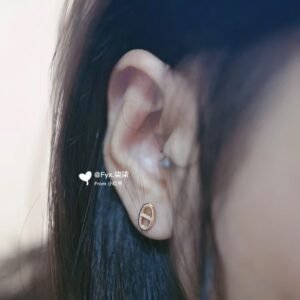 HERMES Earrings