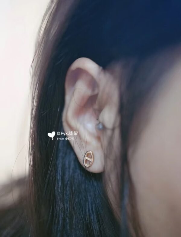 HERMES Earrings