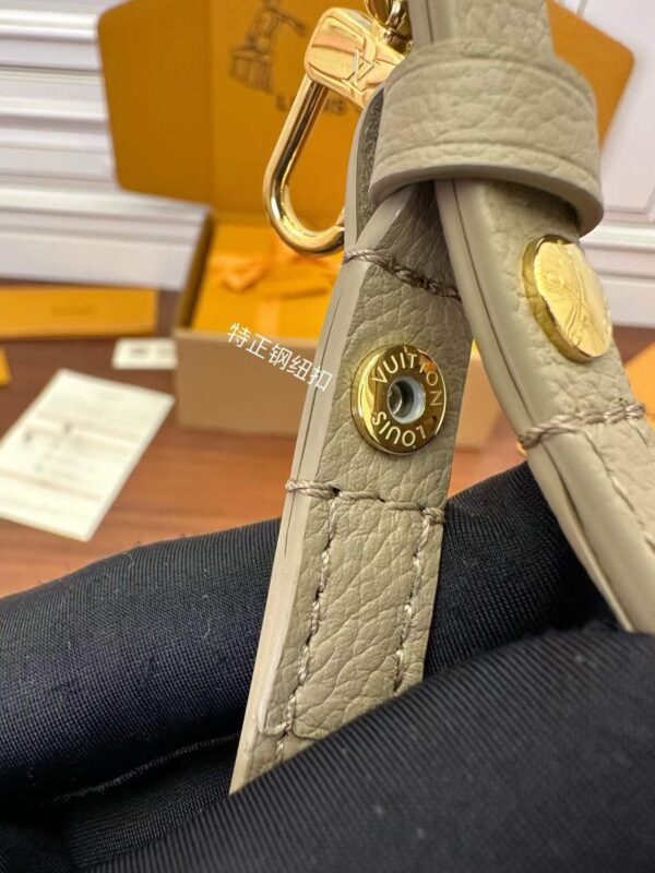 LOUIS VUITTON M82211 Ivy Wallet on Chain Bag