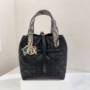 Small Dior Toujours Vertical Tote Bag