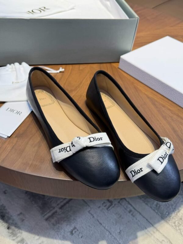 DIOR Ballet Shoes