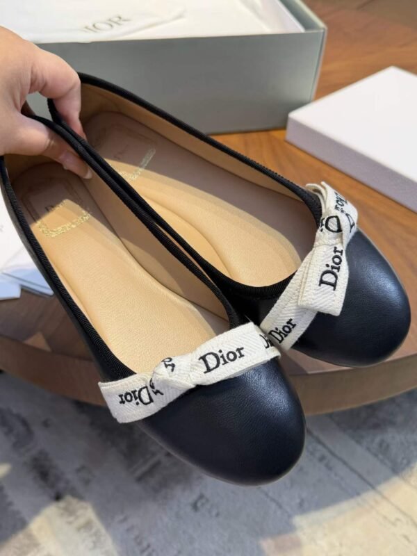 DIOR Ballet Shoes
