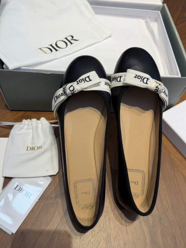 DIOR Ballet Shoes