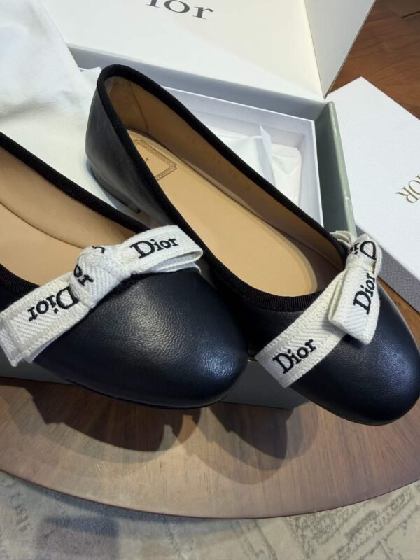 DIOR Ballet Shoes