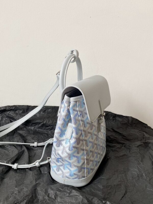 GOYARD Alpin Mini Backpack
