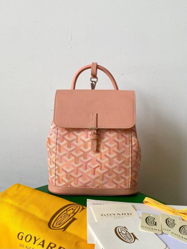 GOYARD Alpin Mini Backpack