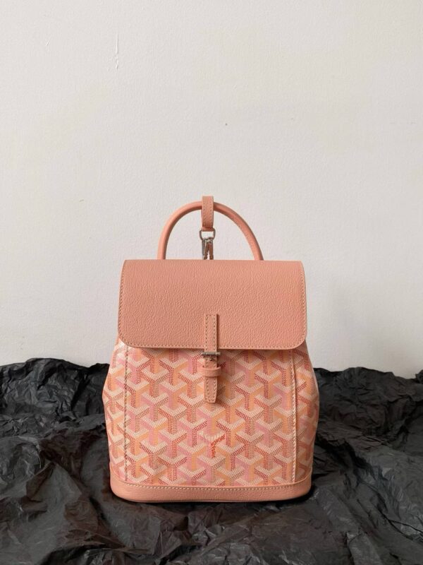 GOYARD Alpin Mini Backpack