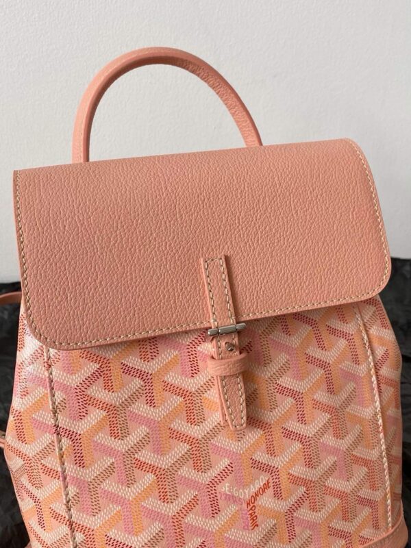 GOYARD Alpin Mini Backpack