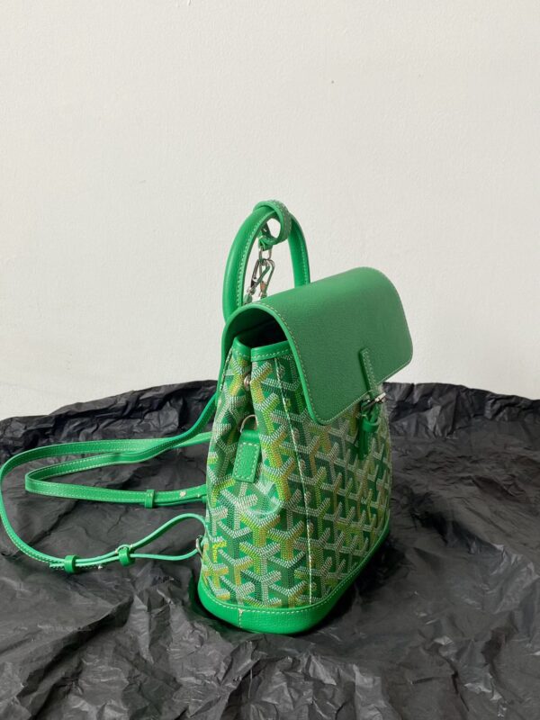 GOYARD Alpin Mini Backpack