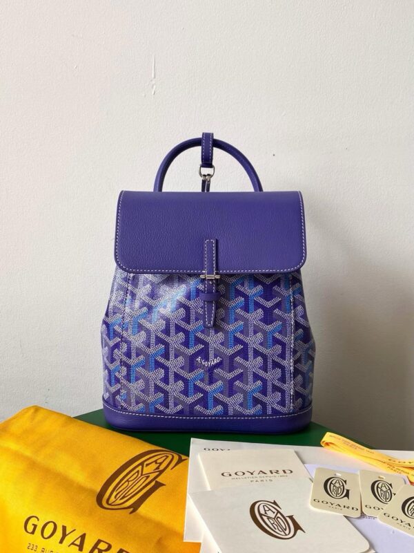 GOYARD Alpin Mini Backpack