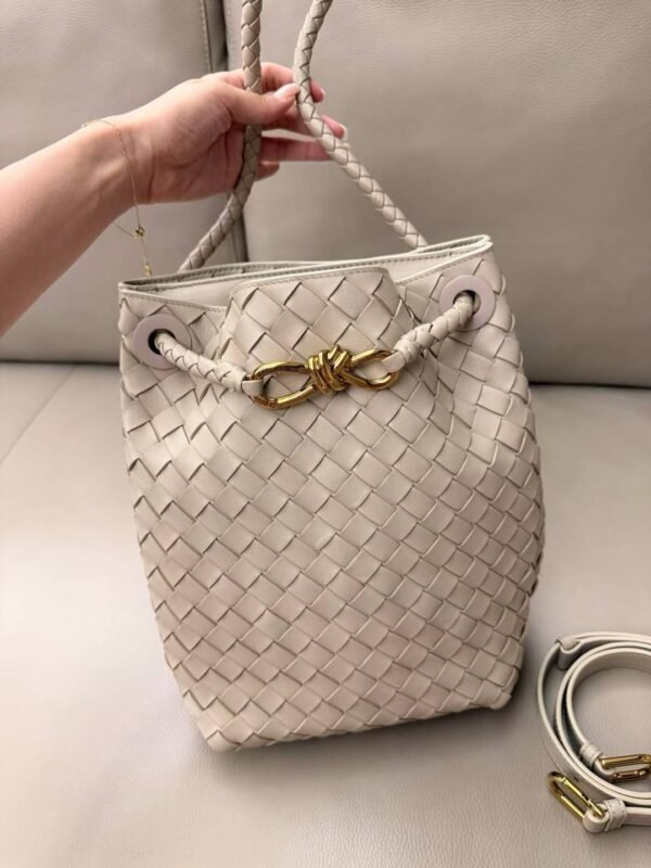Bottega Veneta Andiamo Small Bucket