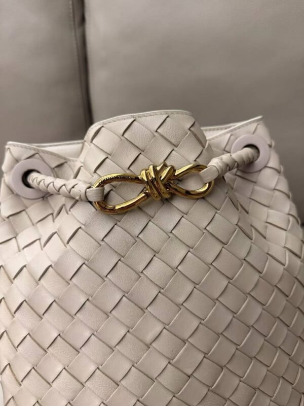 Bottega Veneta Andiamo Small Bucket
