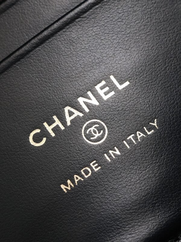 CHANEL Classic Vanity with Chain