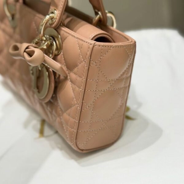 DIOR Small Lady D-Joy Bag