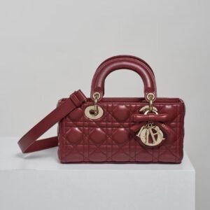 DIOR Small Lady D-Joy Bag