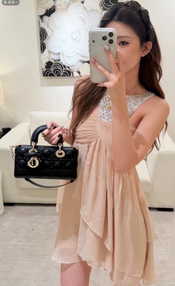 DIOR Small Lady D-Joy Bag
