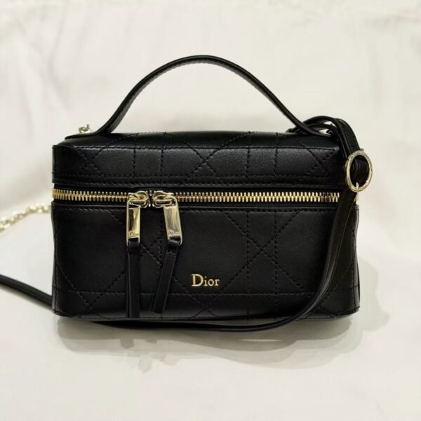 Dior Trianon Soft Vanity Mini Bag